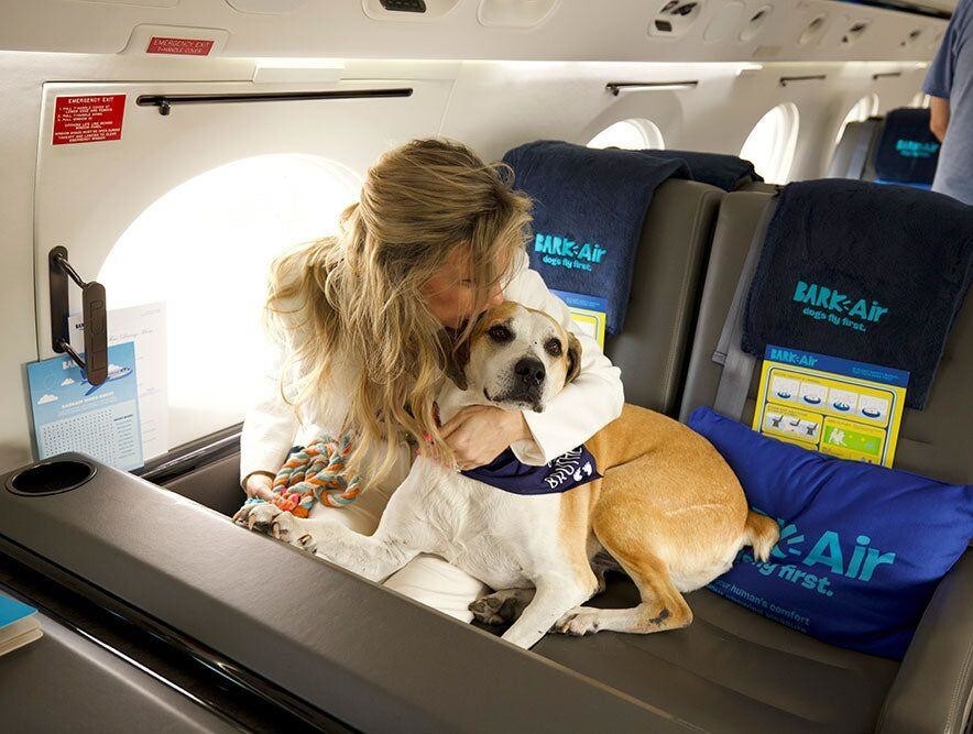 Американская авиакомпания для собак совершила первый рейс 