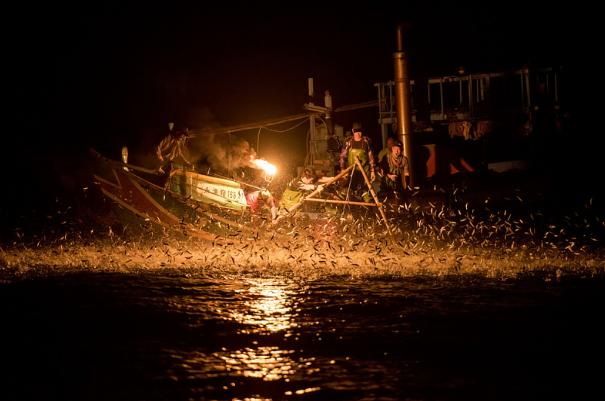 Опасная рыбалка на огонь: умирающая традиция Азии