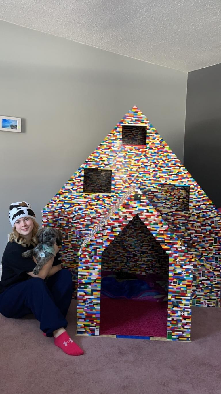Женщина построила из Lego двухметровый дом для своих питомцев