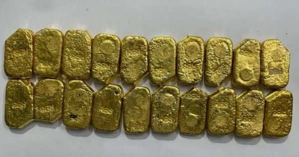 Уникальный случай: в организме стюардессы нашли почти 1 кг золота