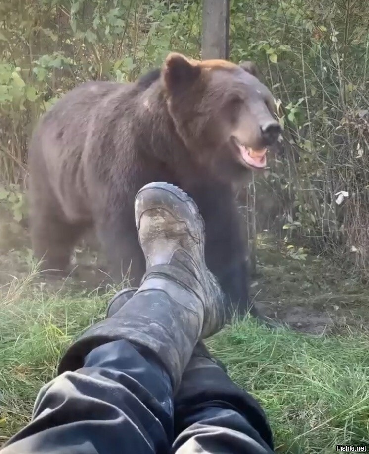 А сапоги то у тебя грязные мужик