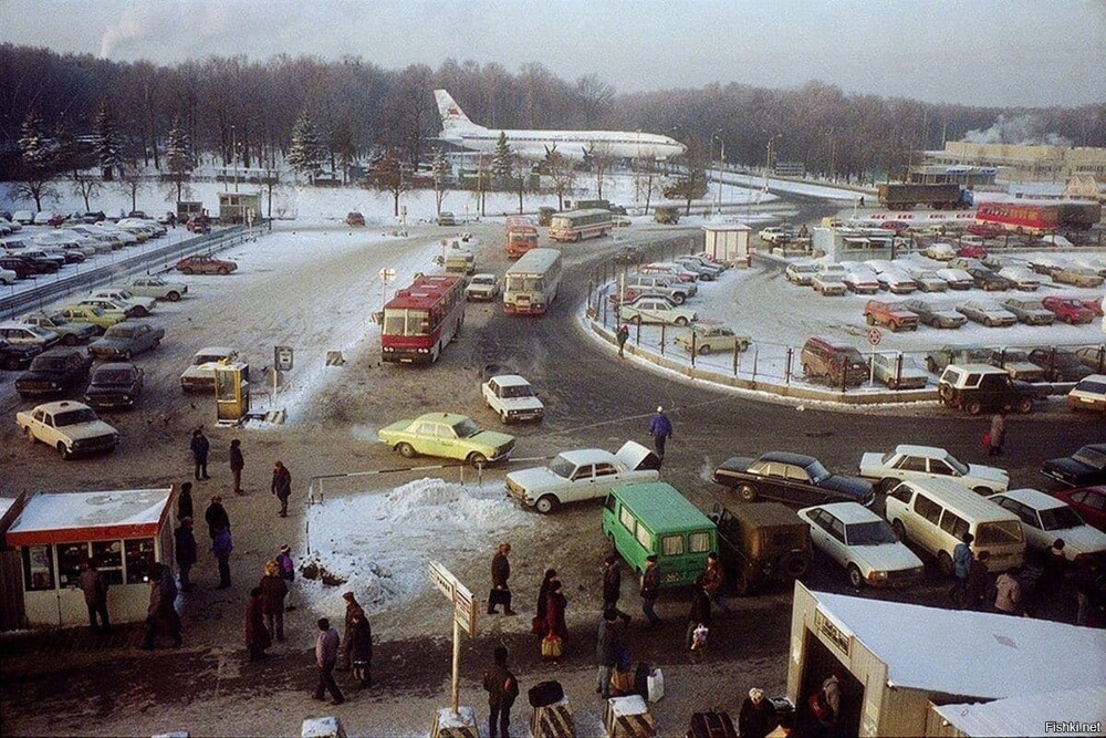 Стоянка автотранспорта у аэропорта Домодедово