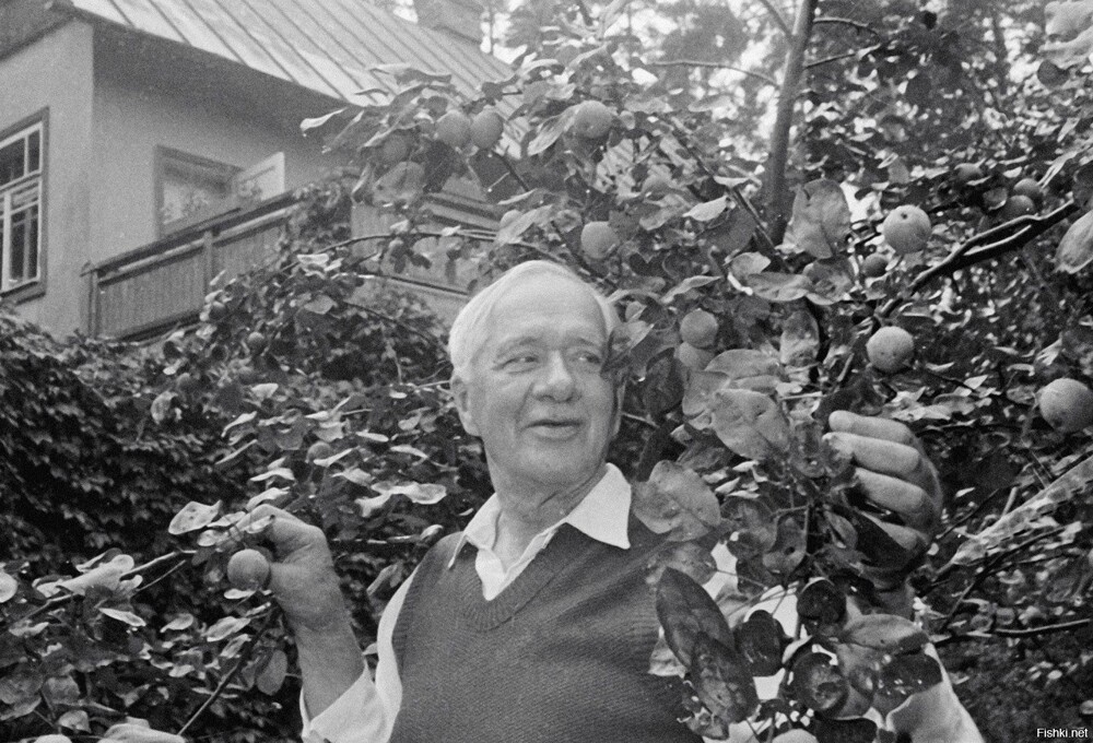 Корней Чуковский в своем фруктовом саду на подмосковной даче, 1957 год