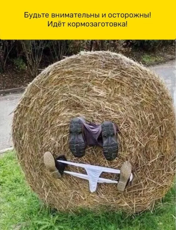 eb29ca676fca5ae2c24d8c0c738168c1.jpg.web