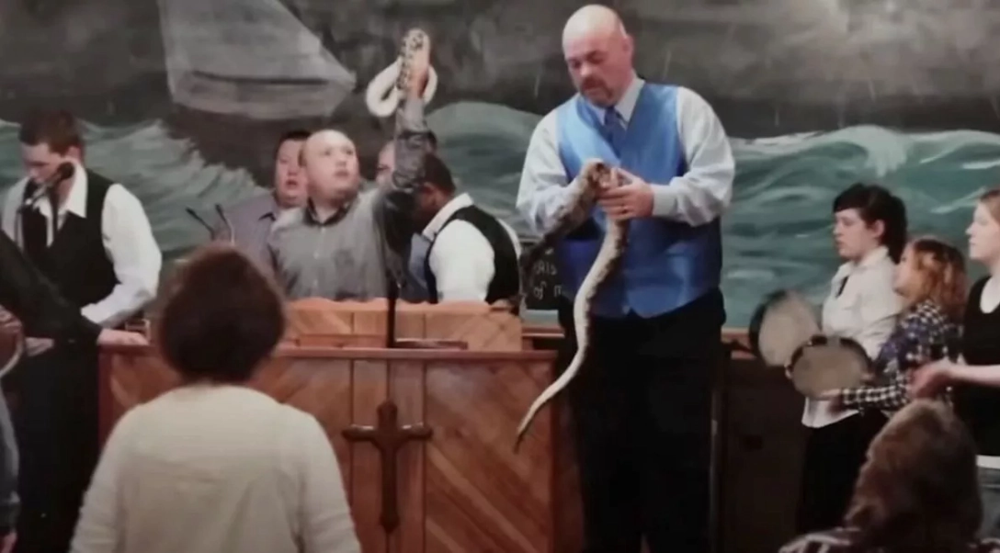 Всё пошло не плану: проповедник дразнил смертоносных змей для связи с Богом