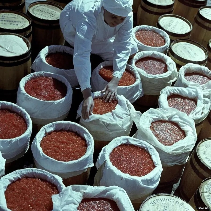 Усть-камчатский рыбоконсервный завод, Бочки с лососевой икрой, 1964 год