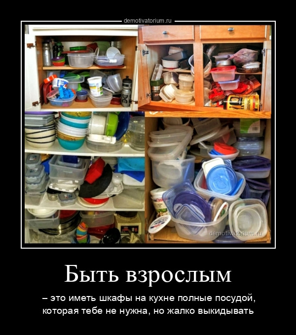 Быть взрослым  – это иметь шкафы на кухне полные посудой, которая тебе не нужна, но жалко выкидывать