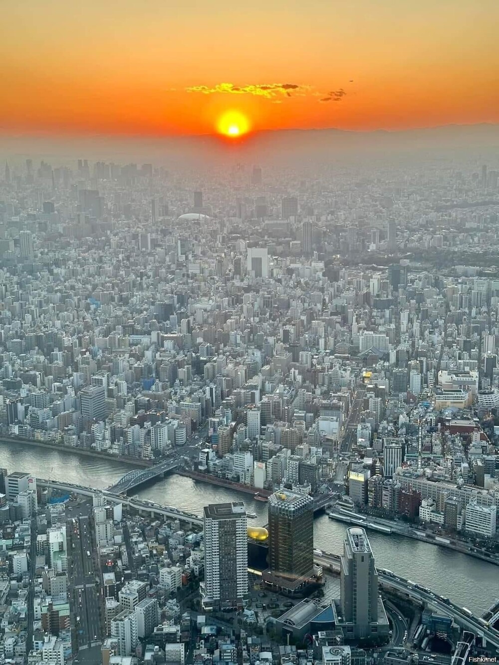Токио, Япония