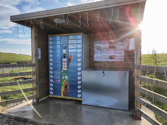5. Ферма продает яйца через круглосуточный торговый автомат