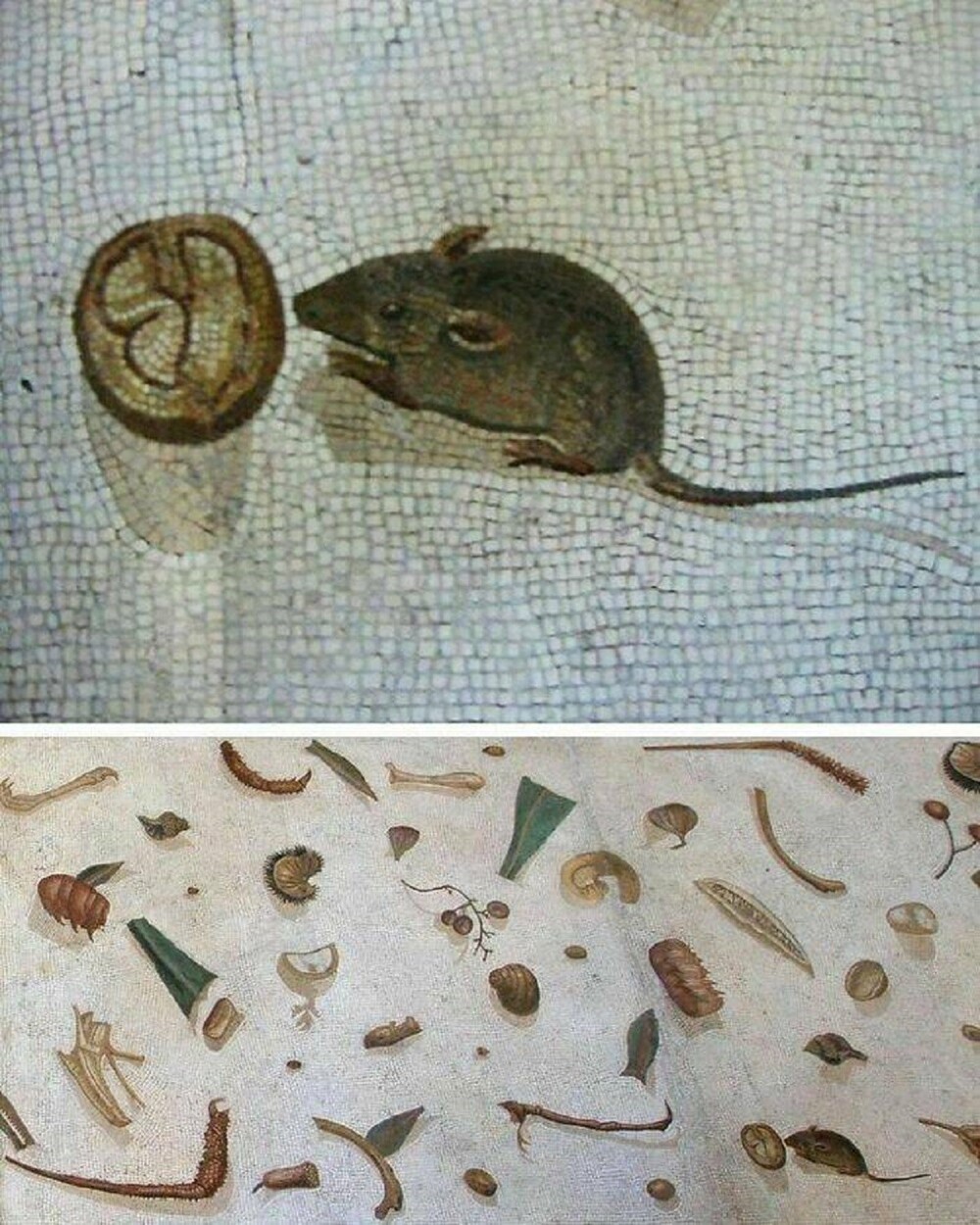 4. Деталь из мозаики Гераклита «Неподметенный пол» с изображением мыши, поедающей грецкий орех. II век до н.э., сейчас выставлена в музеях Ватикана