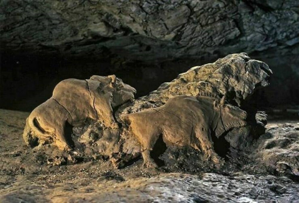 14. Скульптуры зубров возрастом 14 000 лет, найденные в пещере Ле Тук д'Аудубер. Арьеж, Франция