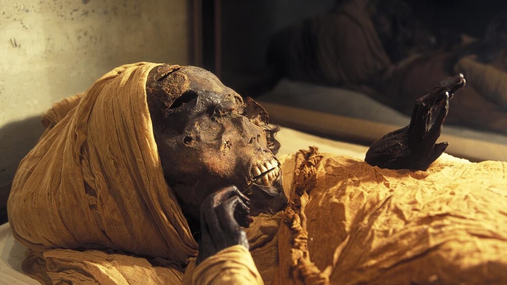 Учёные показали, как выглядел фараон Секененра Храбрый