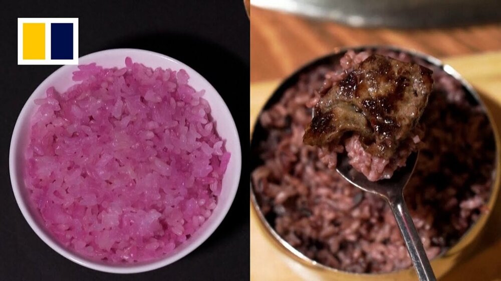 Как корейские учёные выращивают мясо внутри риса