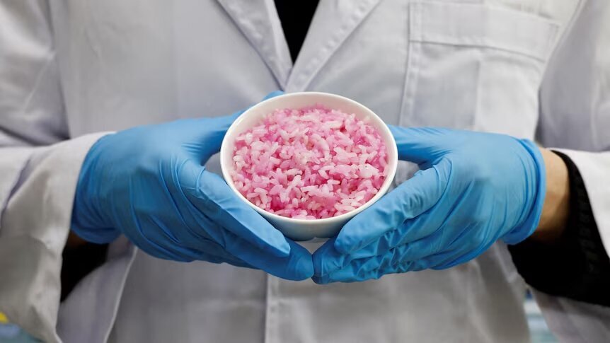 Как корейские учёные выращивают мясо внутри риса