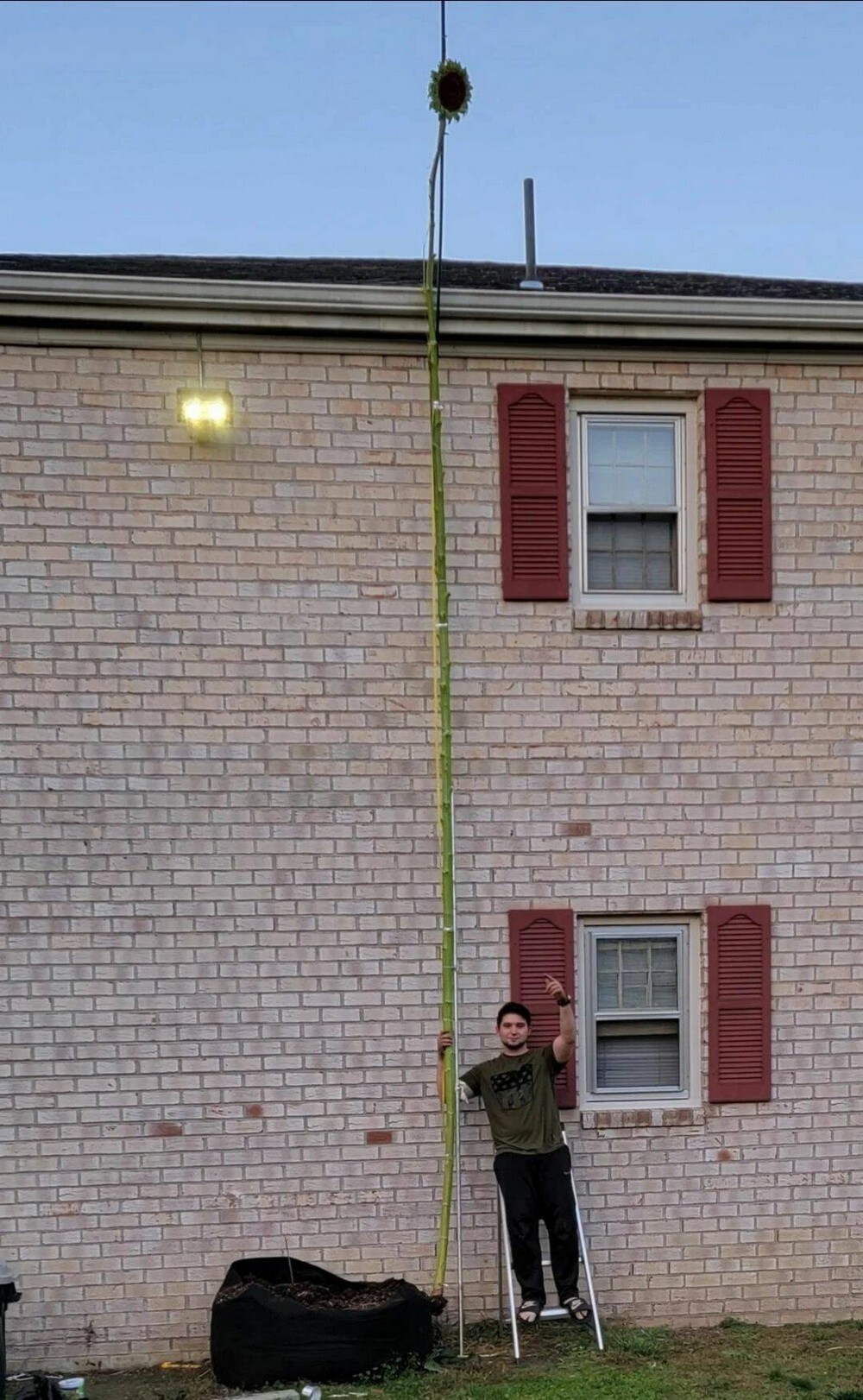На общую тему 