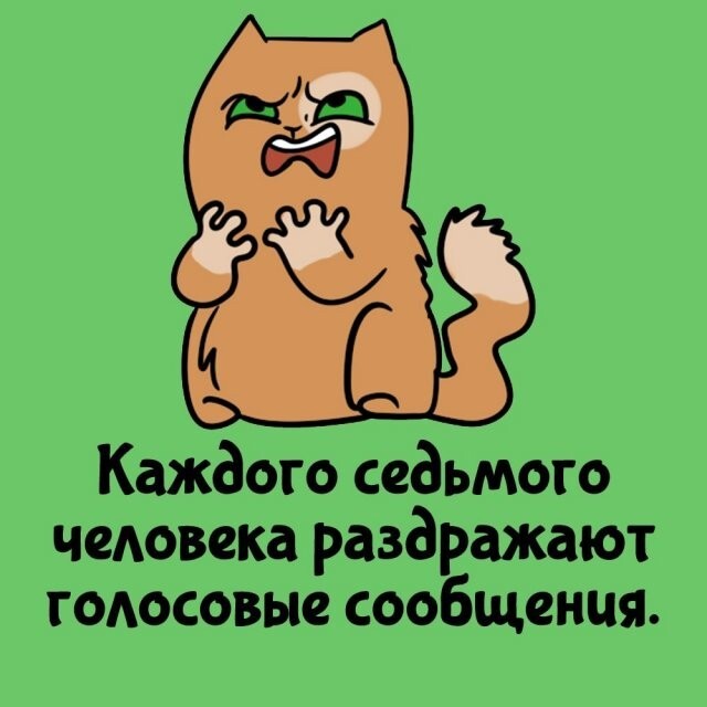 А вдруг ты не знал…
