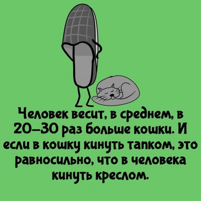 А вдруг ты не знал…