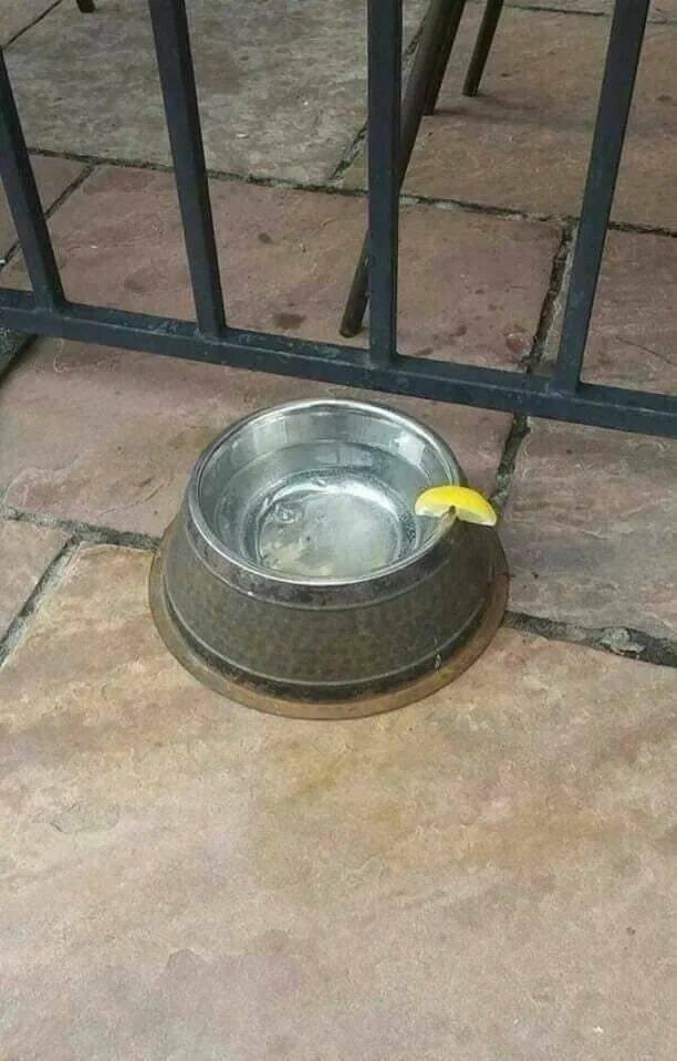  Намешалось 