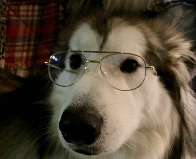  Намешалось 