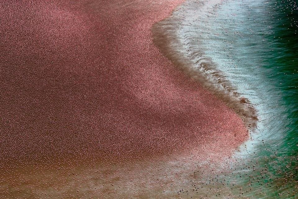 5. "Розовое море", Пол Маккензи (Ирландия)