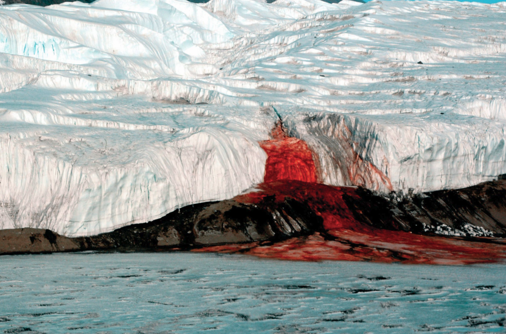 6. В Антарктиде есть Кровавый водопад. Это стекание соленой воды, загрязненной оксидом железа, с ледника Тейлор на покрытую льдом поверхность Западного озера Бонни