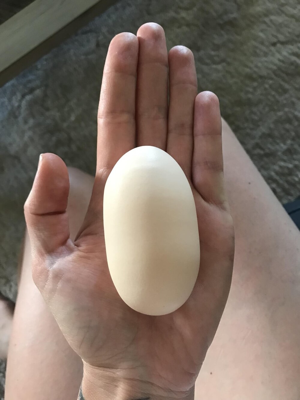 1. Курица снесла идеальное яйцо