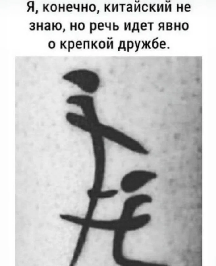 8b4c5f272c41f8a9b6dc4b27ec3cb47a.jpg.web