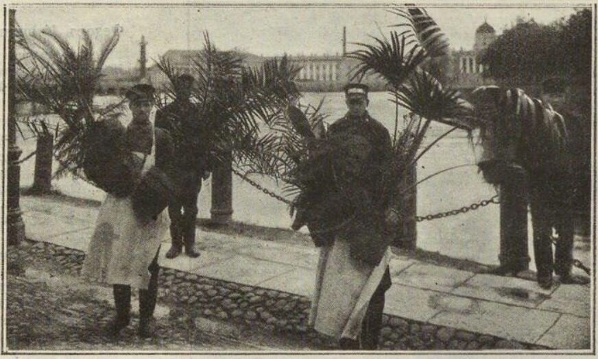 Продолжаем знакомиться с Петербургом экзотическим - торговцы пальмами на Мытнинской набережной.