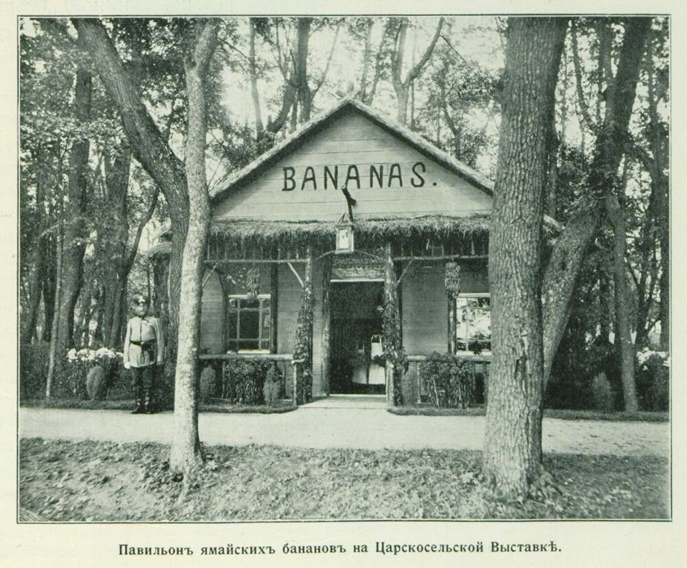 Павильон "Ямайские бананы" на Царскосельской выставке 1911 года.