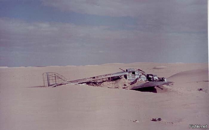 В июле 1960 года группа геологов в Ливийской пустыне наткнулась на останки ит...