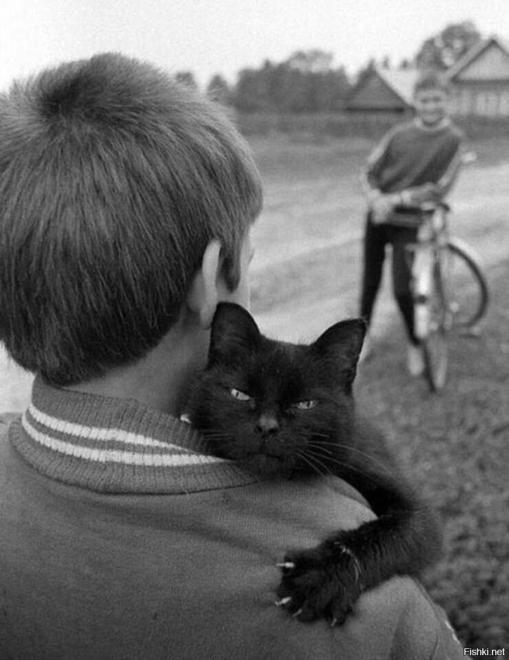 Чёрный кот и его человек