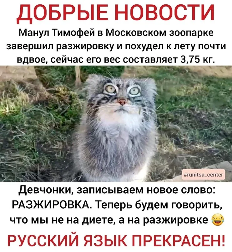 830dcfaa7238a7e6f82052342dc66f3f.jpg.web