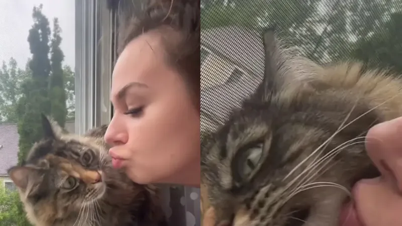 Кот показал, насколько ему чужды хозяйские поцелуи