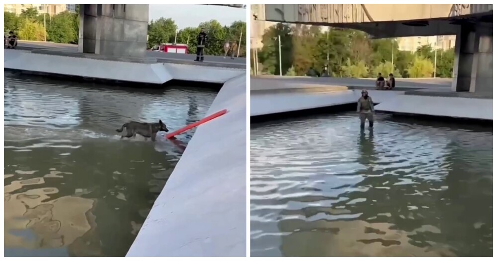 Как спасатели пытались достать собаку из фонтана