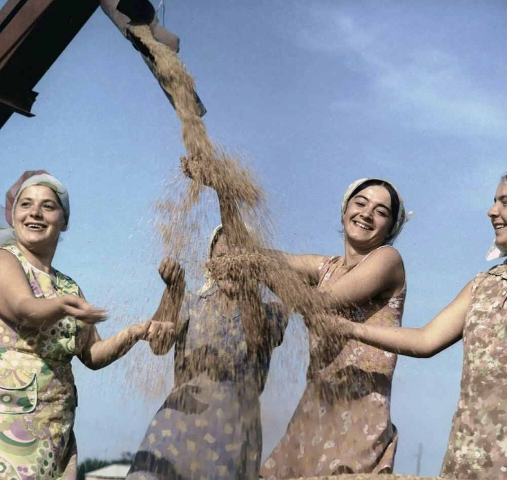 2. Работницы колхоза «Заря коммунизма», радуются новому урожаю пшеницы, 1972 год