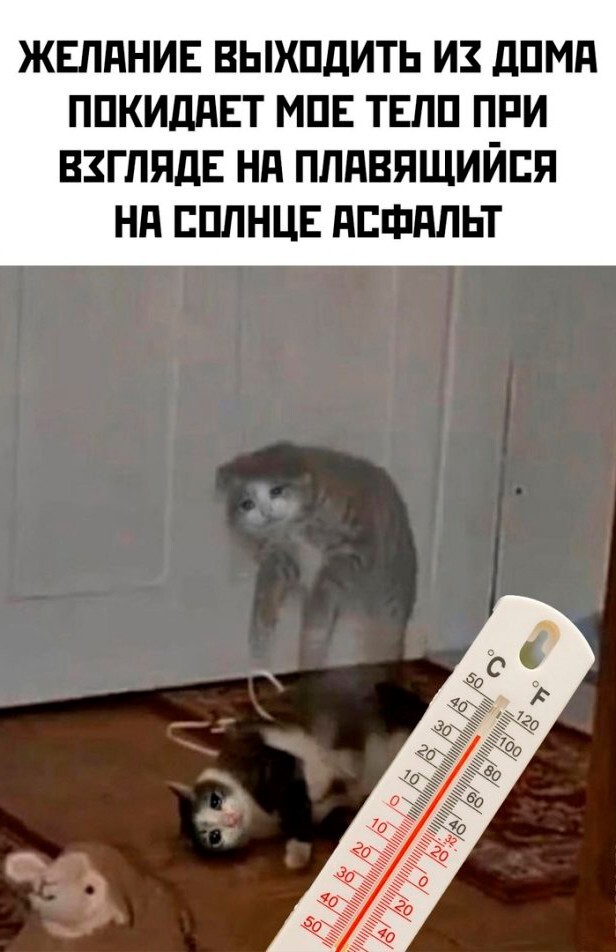 Скрины из соцсетей            