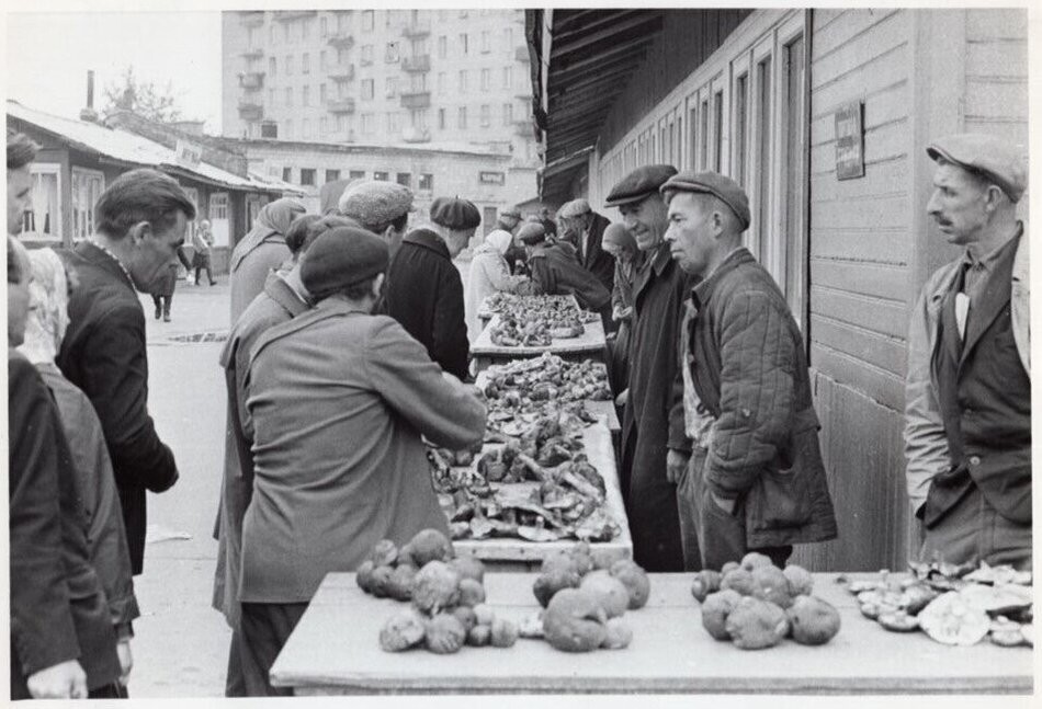 Продажа грибов на Инвалидном рынке неподалёку от станции метро "Аэропорт".