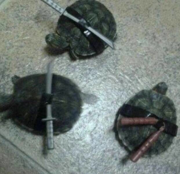 Намешалось