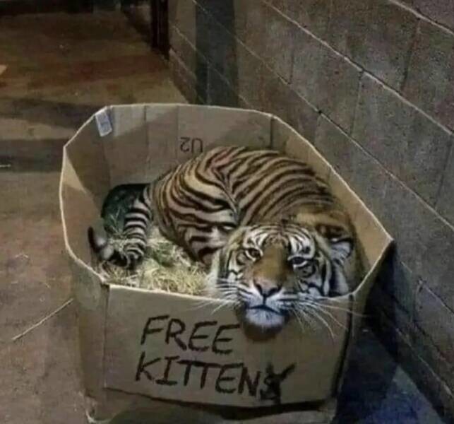 Намешалось