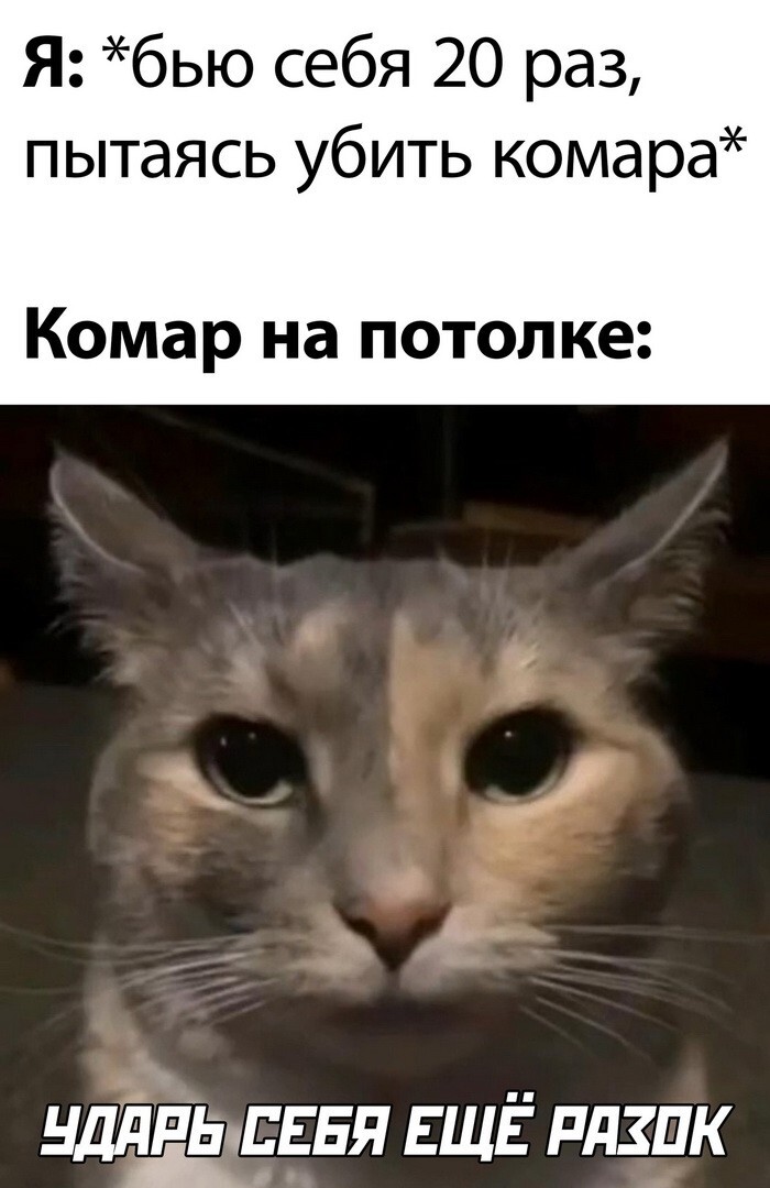 Намешалось