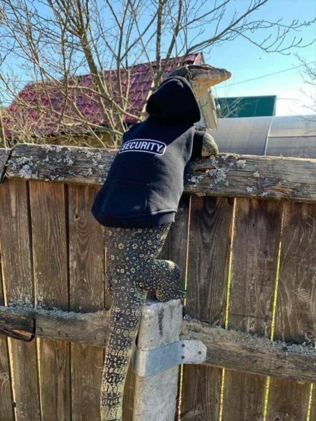Намешалось