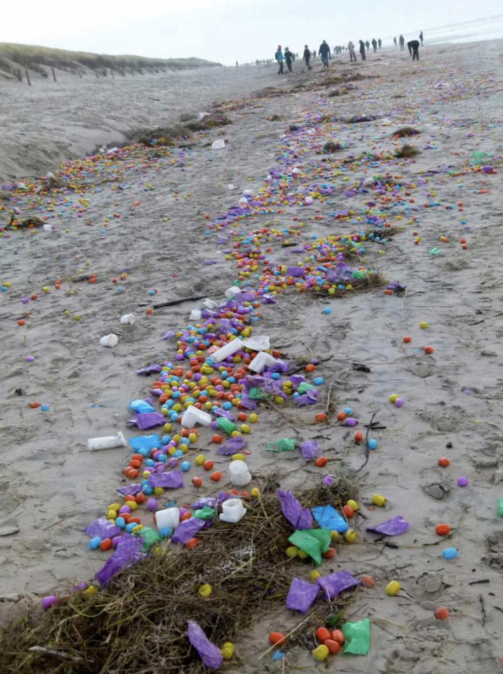 16. Огромное количество игрушек из яиц «Киндер-сюприз» выбросило на немецкий пляж