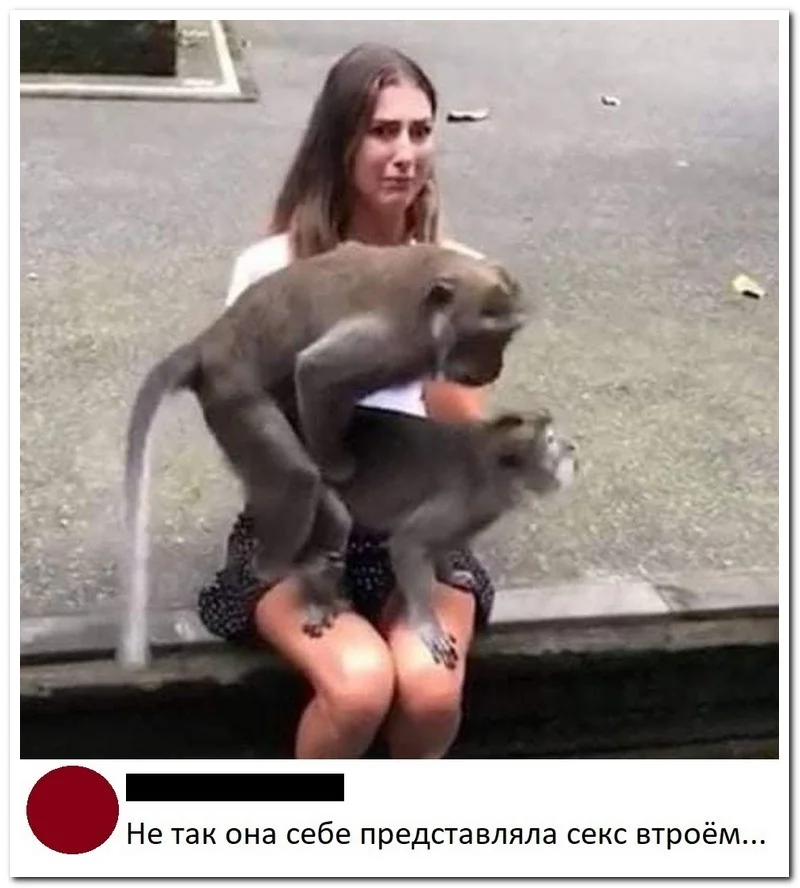 5fae1886dd27d8db4309a598332777f2.jpg.web