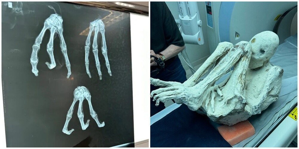 Обнаружены две новые эксклюзивные мумии "инопланетян" из Перу