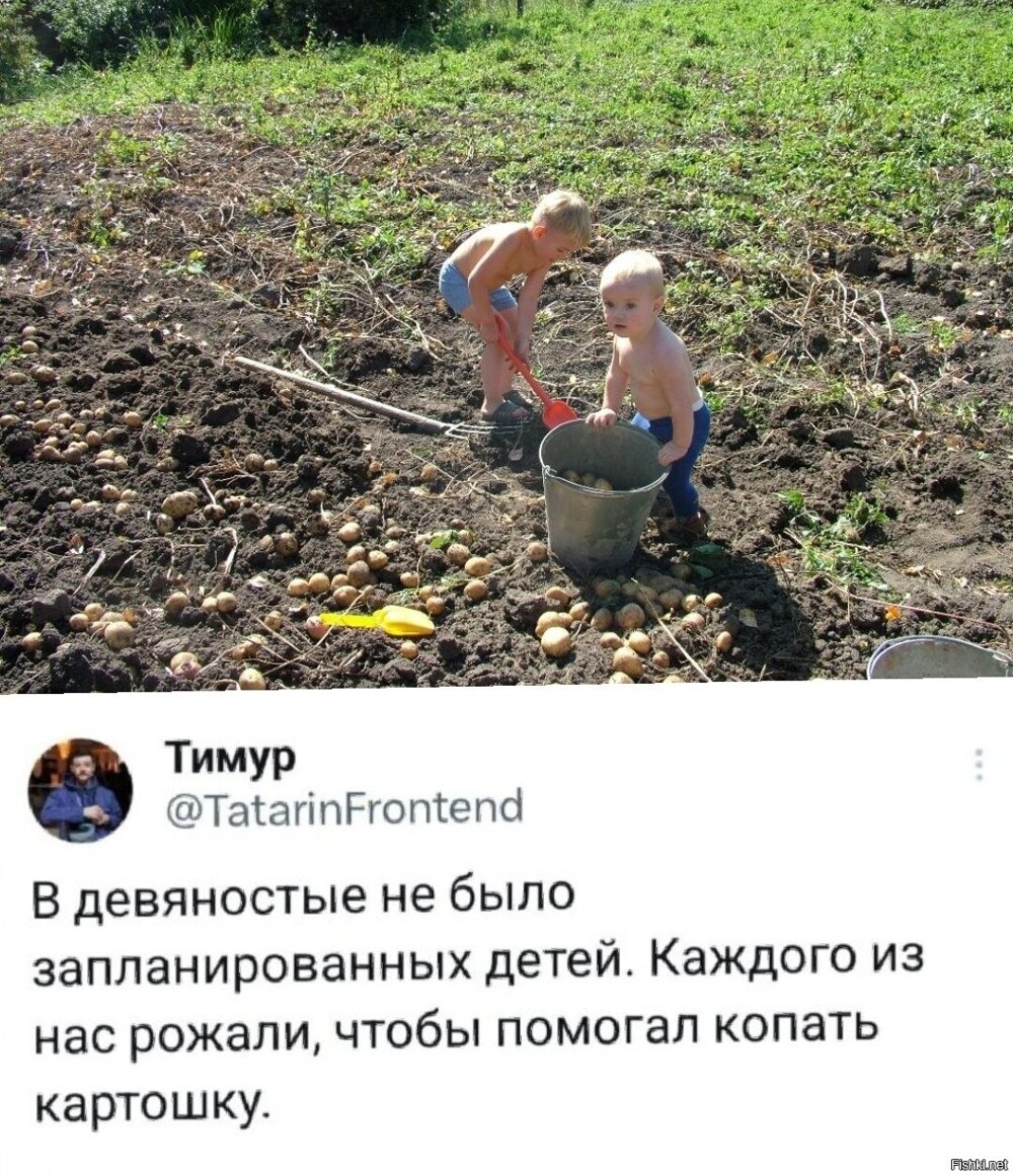 Они догадались