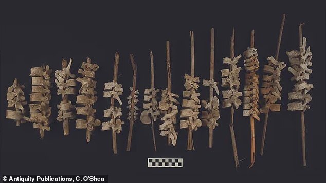 Обнаружены две новые эксклюзивные мумии "инопланетян" из Перу