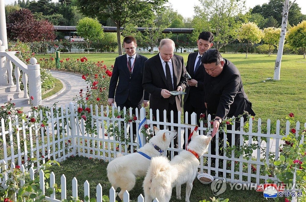 Ким Чен Ын получил в дар Aurus, а в Россию уехала пара северокорейских пёселей