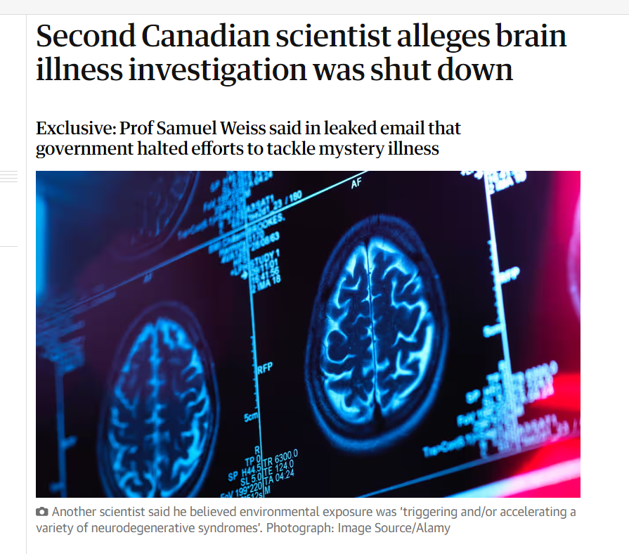 Канадские ученые нашли неизвестную болезнь мозга