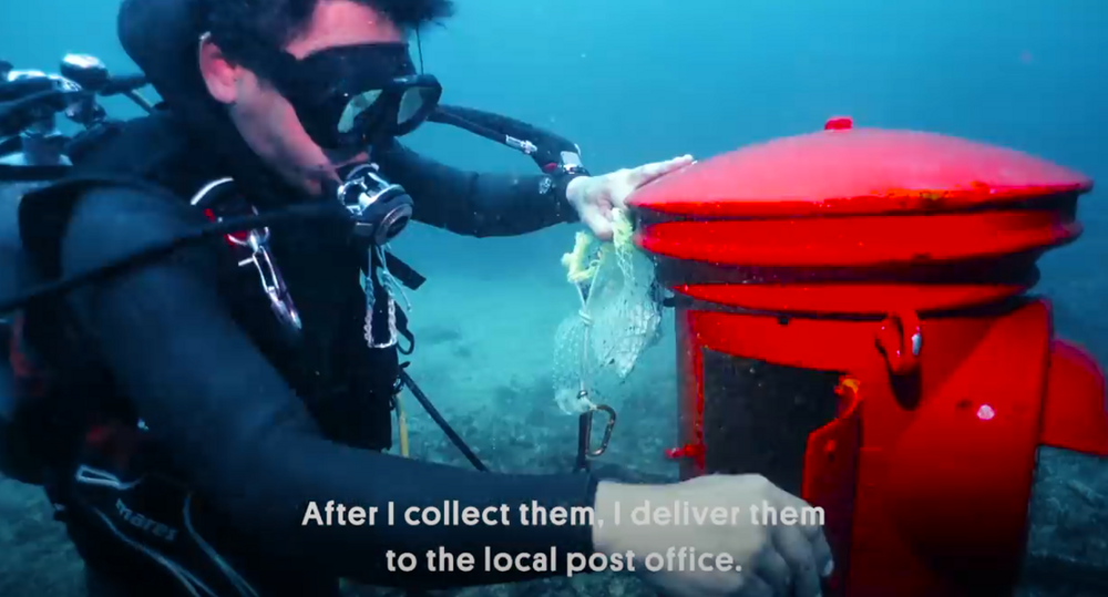 Зачем Японии подводный почтовый ящик