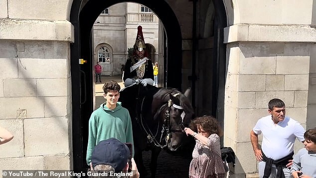 Туристка у Букингемского дворца стала жертвой лошади, но это не точно